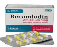Becamlodin điều trị tăng huyết áp co thắt vùng ngực